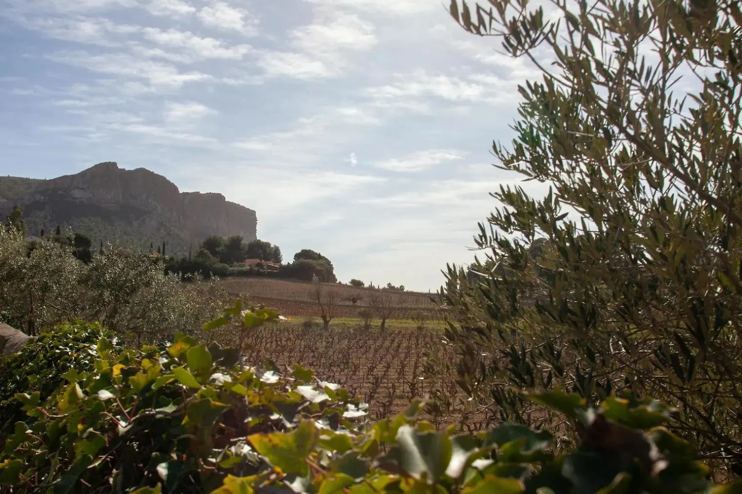 La Petite Lezardiere Cassis